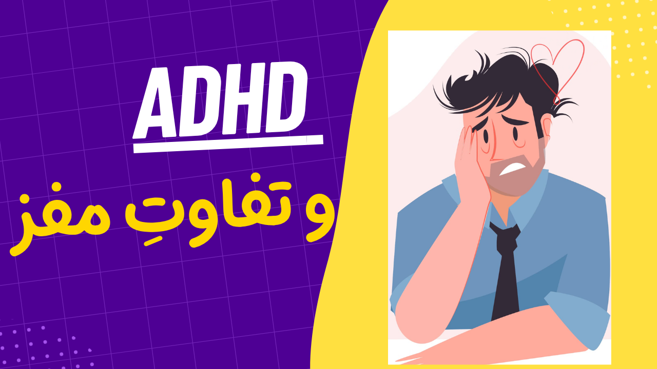 ویدیو انیمیشن ۱